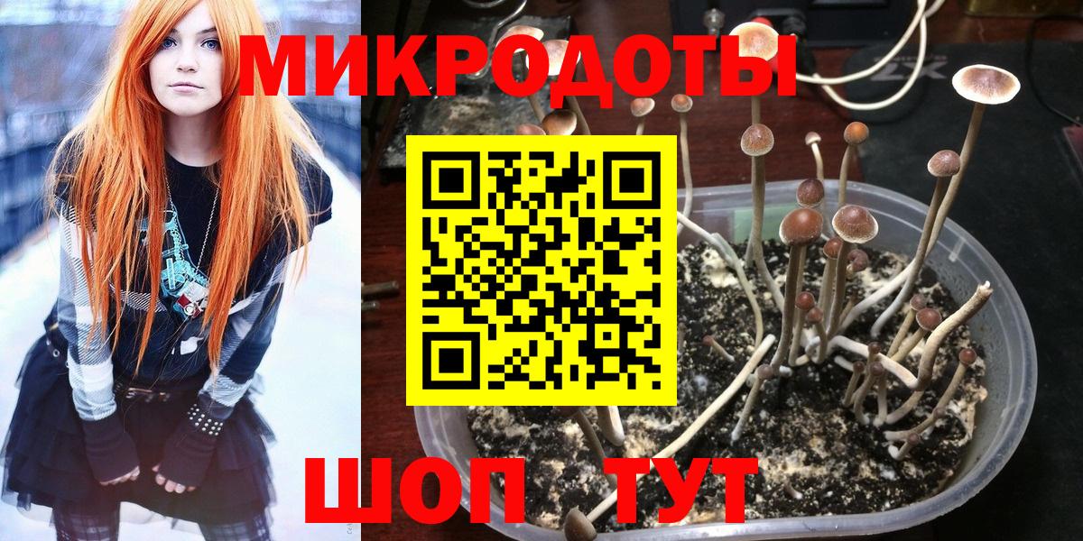 Псилоцибиновые грибы MAGIC MUSHROOMS Клин